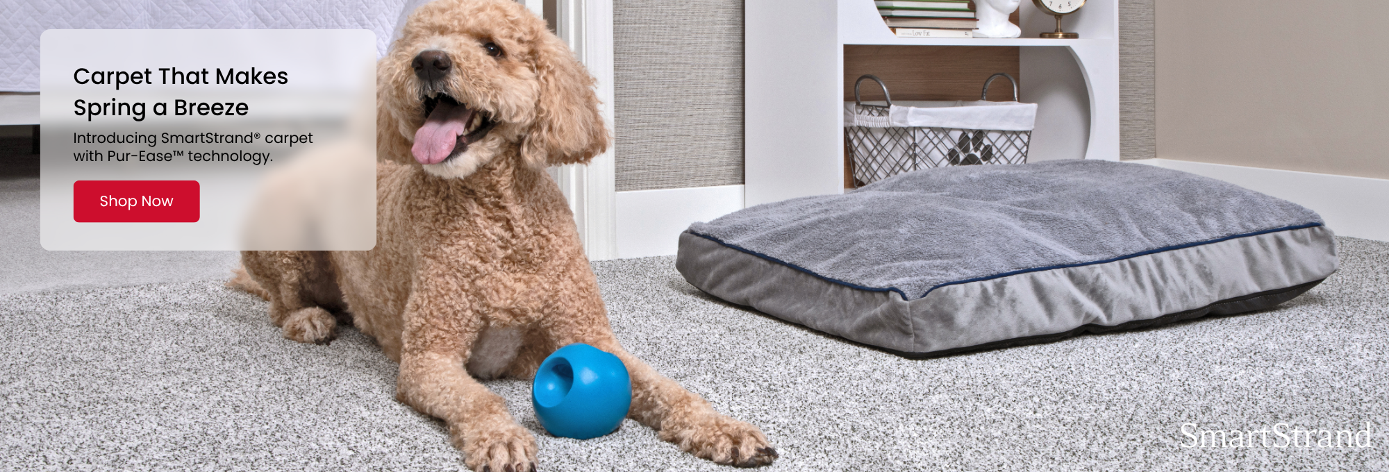 Browse Mohawk SmartStrand Products