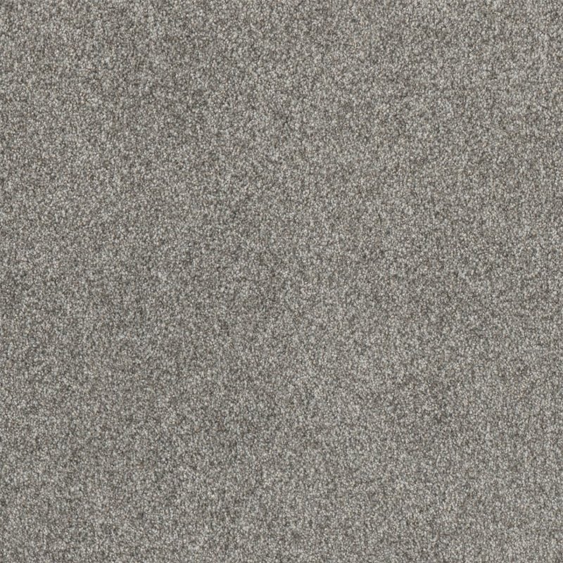 Moxie by Dreamweaver