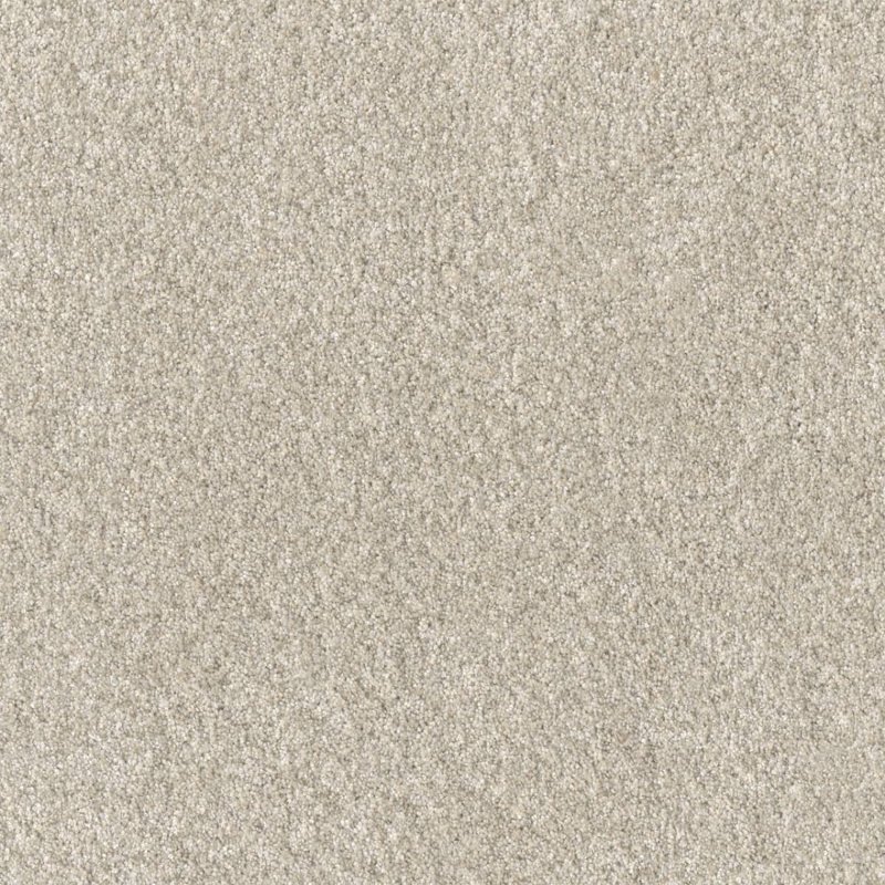 Bisque by Dreamweaver