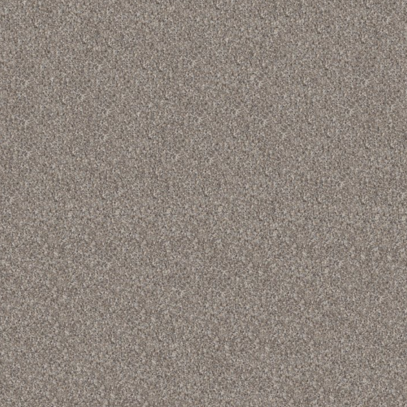 Perfection by Shaw Floors