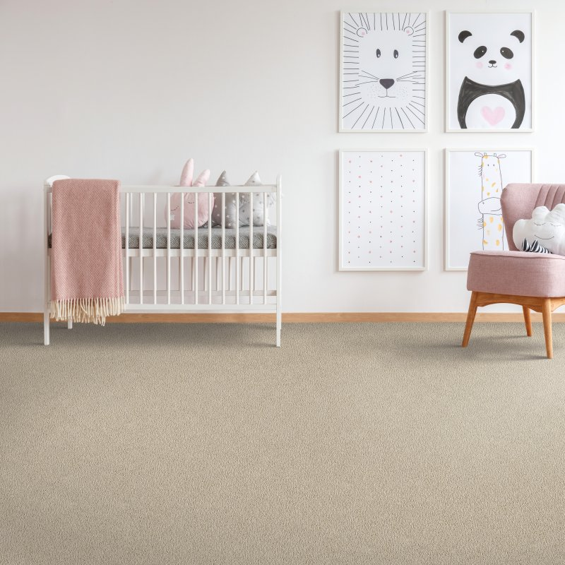 Central Floor Supply providing easy stain-resistant pet friendly carpet in Fresco, CA - Sp Enchanting Glam - Cayman Island