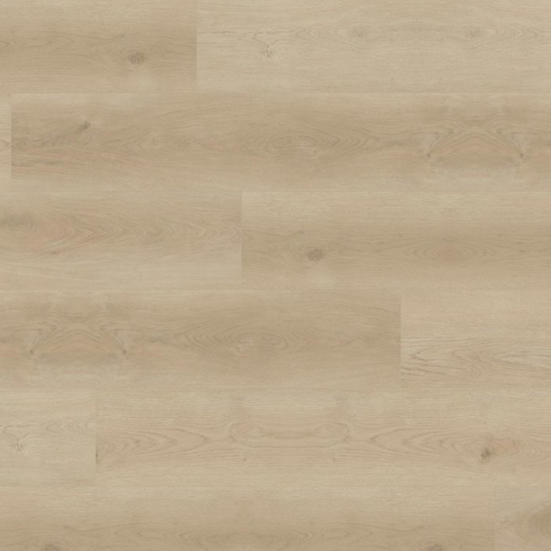 Pearl Abyss Lions Floor