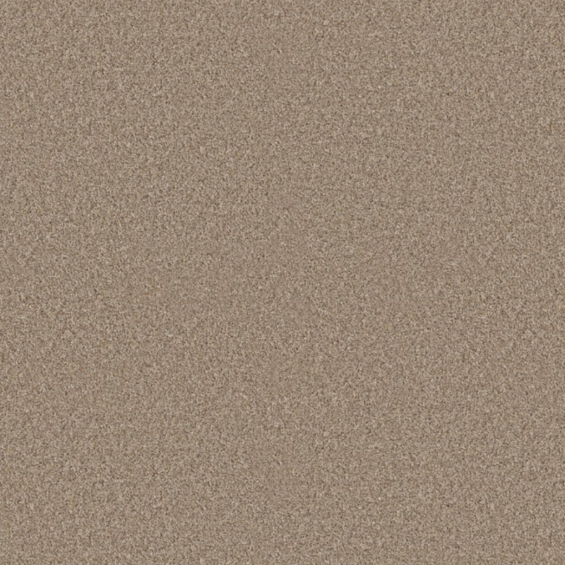 Summer Straw by Shaw Floors